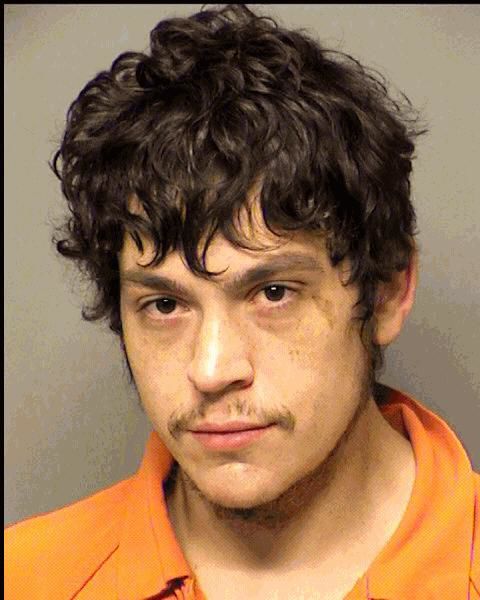 Nicholas Lee Williams